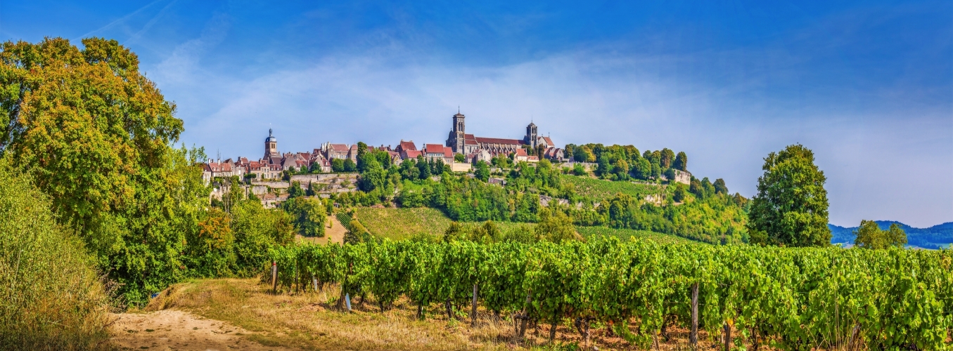 Burgund - Wein- & Kulturparadies